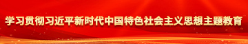 操操操插插学习贯彻习近平新时代中国特色社会主义思想主题教育